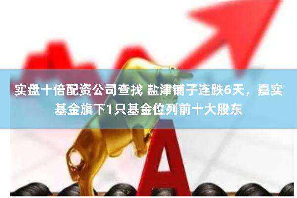 实盘十倍配资公司查找 盐津铺子连跌6天，嘉实基金旗下1只基金位列前十大股东