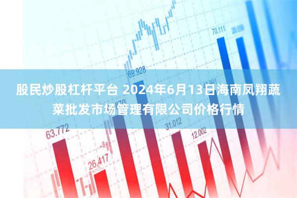 股民炒股杠杆平台 2024年6月13日海南凤翔蔬菜批发市场管理有限公司价格行情